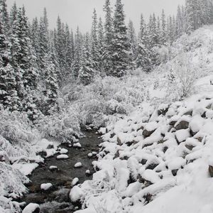 Meet your Posher, Jerri